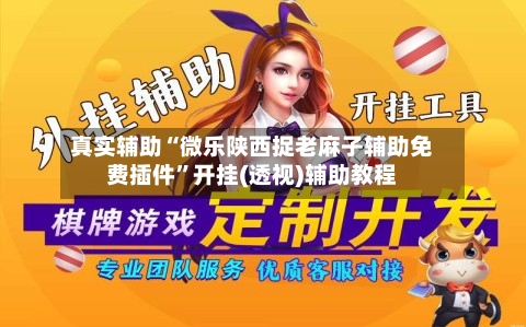 真实辅助“微乐陕西捉老麻子辅助免费插件”开挂(透视)辅助教程-第3张图片