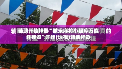 辅助开挂神器“微乐麻将小程序万能开挂器”开挂(透视)辅助神器