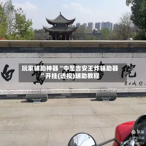玩家辅助神器“中至吉安王炸辅助器”开挂(透视)辅助教程-第2张图片