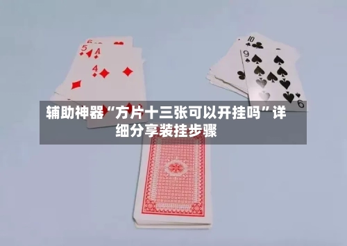 辅助神器“方片十三张可以开挂吗”详细分享装挂步骤-第3张图片