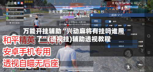 万能开挂辅助“兴动麻将有挂吗谁用了”(透视挂)辅助透视教程