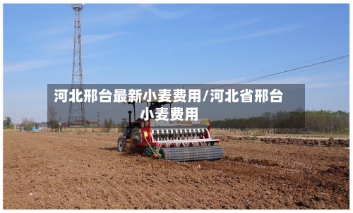 河北邢台最新小麦费用/河北省邢台小麦费用