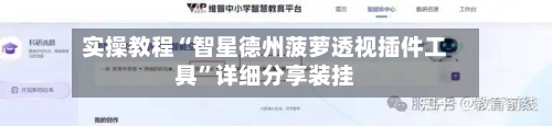 实操教程“智星德州菠萝透视插件工具”详细分享装挂-第2张图片