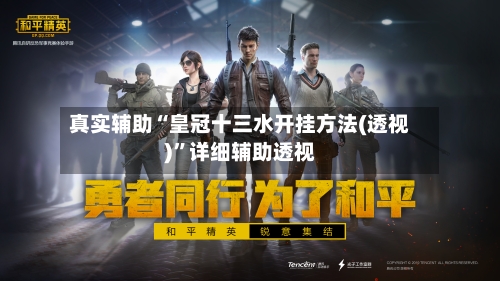 真实辅助“皇冠十三水开挂方法(透视)”详细辅助透视-第2张图片