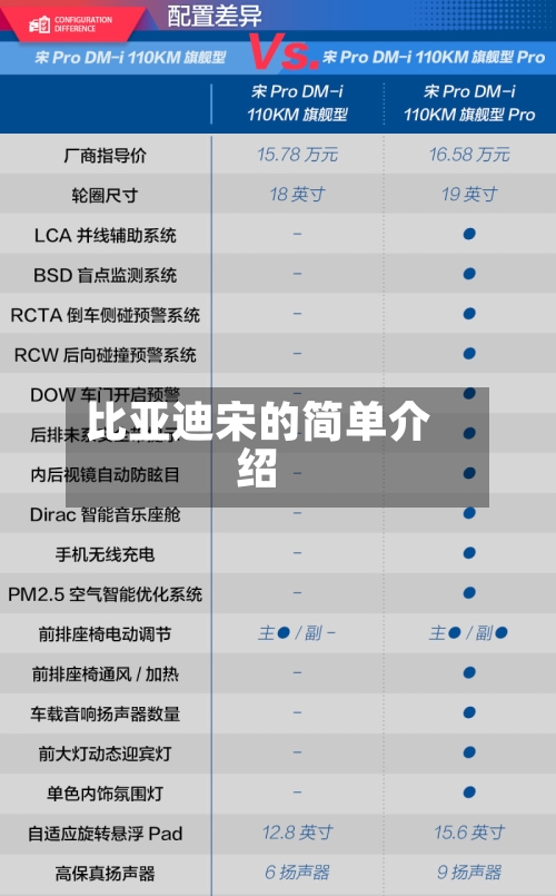 比亚迪宋的简单介绍-第2张图片