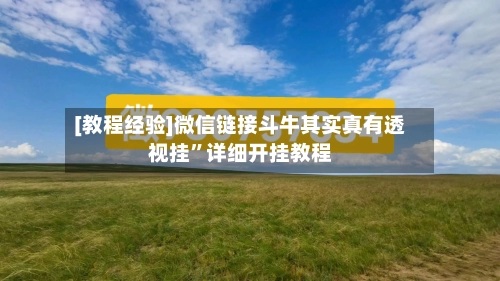 [教程经验]微信链接斗牛其实真有透视挂”详细开挂教程-第3张图片