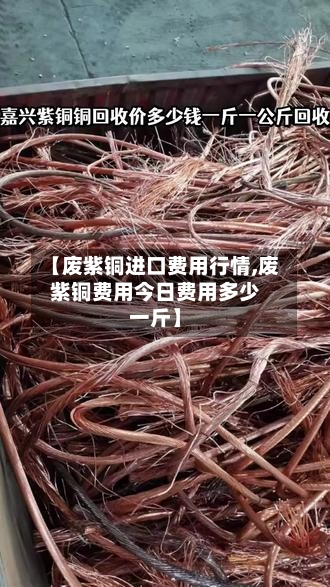 【废紫铜进口费用行情,废紫铜费用今日费用多少一斤】