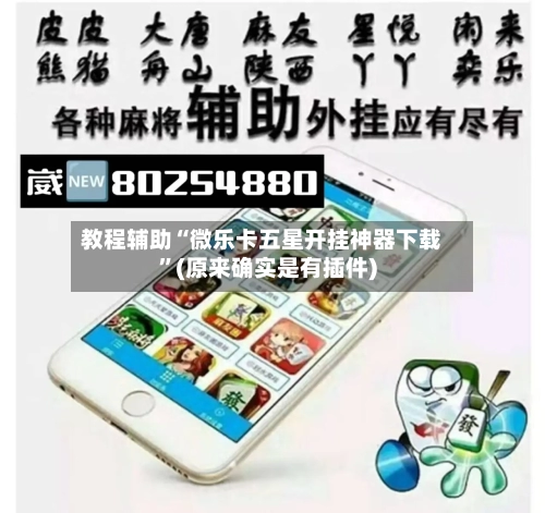 教程辅助“微乐卡五星开挂神器下载	”(原来确实是有插件)-第2张图片