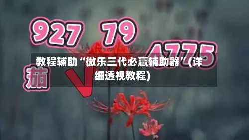 教程辅助“微乐三代必赢辅助器”(详细透视教程)