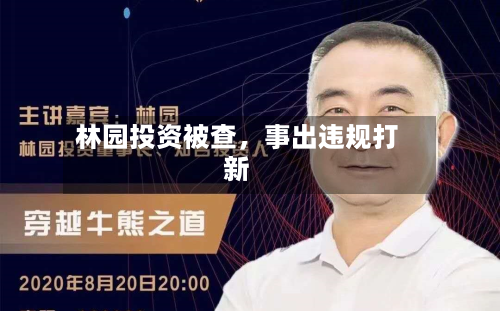 林园投资被查	，事出违规打新-第2张图片