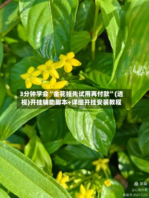 3分钟学会“金花挂先试用再付款”(透视)开挂辅助脚本+详细开挂安装教程
