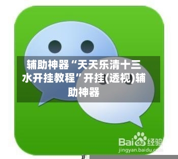 辅助神器“天天乐清十三水开挂教程	”开挂(透视)辅助神器-第2张图片