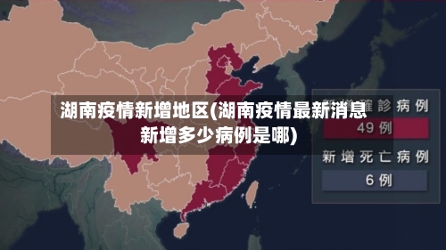 湖南疫情新增地区(湖南疫情最新消息新增多少病例是哪)-第2张图片
