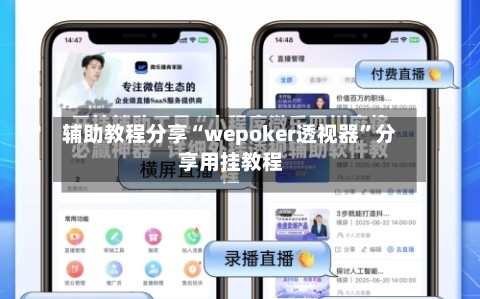 辅助教程分享“wepoker透视器”分享用挂教程-第2张图片
