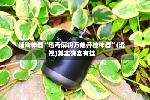 辅助神器“迅奇麻将万能开挂神器	”(透视)其实确实有挂-第2张图片
