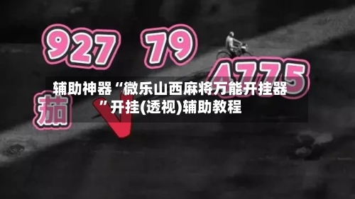 辅助神器“微乐山西麻将万能开挂器	”开挂(透视)辅助教程-第2张图片