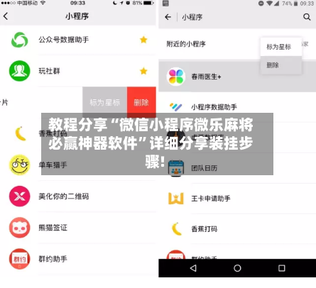 教程分享“微信小程序微乐麻将必赢神器软件”详细分享装挂步骤!-第3张图片