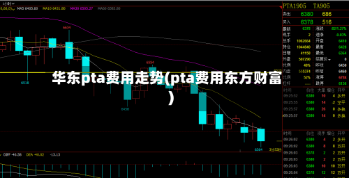 华东pta费用走势(pta费用东方财富)