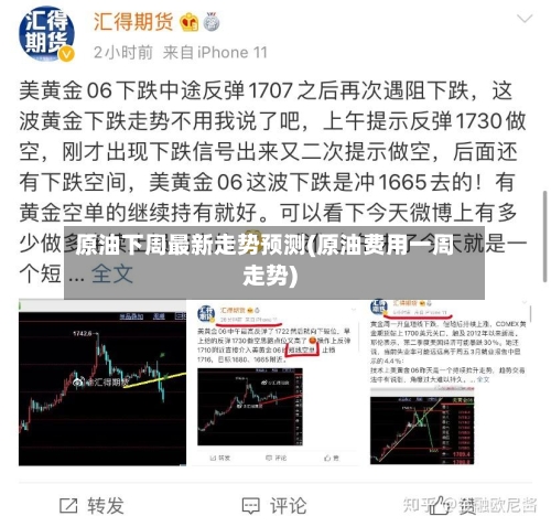 原油下周最新走势预测(原油费用一周走势)