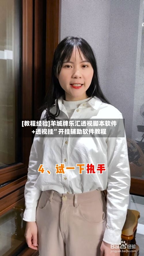 [教程经验]羊城牌乐汇透视脚本软件+透视挂”开挂辅助软件教程