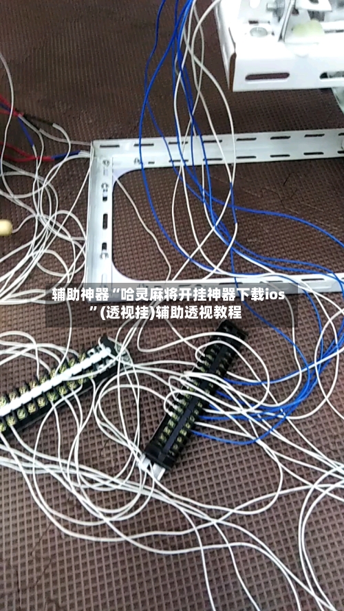 辅助神器“哈灵麻将开挂神器下载ios	”(透视挂)辅助透视教程-第2张图片