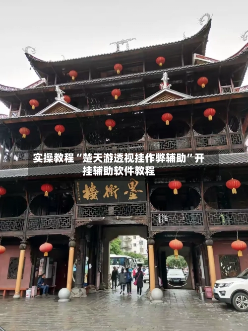 实操教程“楚天游透视挂作弊辅助”开挂辅助软件教程-第2张图片