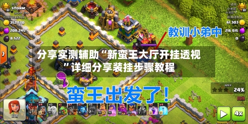 分享实测辅助“新蛮王大厅开挂透视”详细分享装挂步骤教程-第3张图片