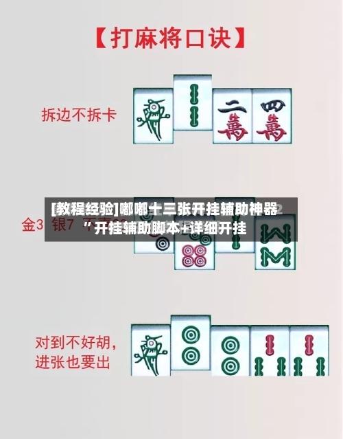 [教程经验]嘟嘟十三张开挂辅助神器”开挂辅助脚本+详细开挂