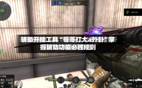 辅助开挂工具“哥哥打大a外卦	”掌握辅助功能必胜规则-第2张图片