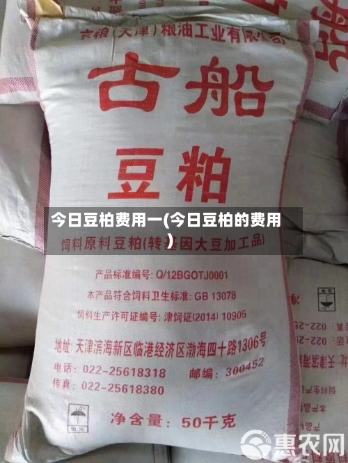 今日豆柏费用一(今日豆柏的费用)