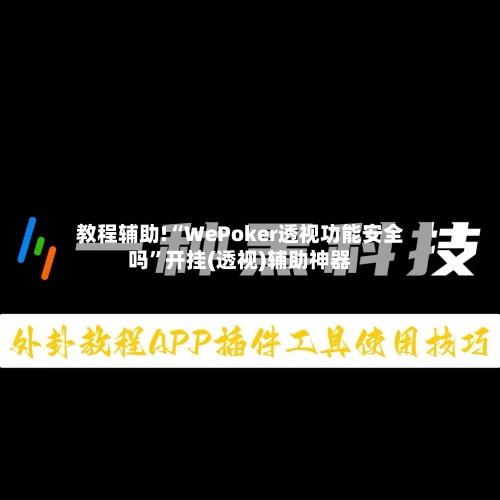 教程辅助!“WePoker透视功能安全吗	”开挂(透视)辅助神器-第2张图片