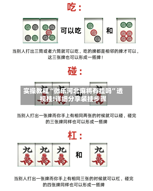 实操教程“微乐河北麻将有挂吗	”透视挂!详细分享装挂步骤-第2张图片