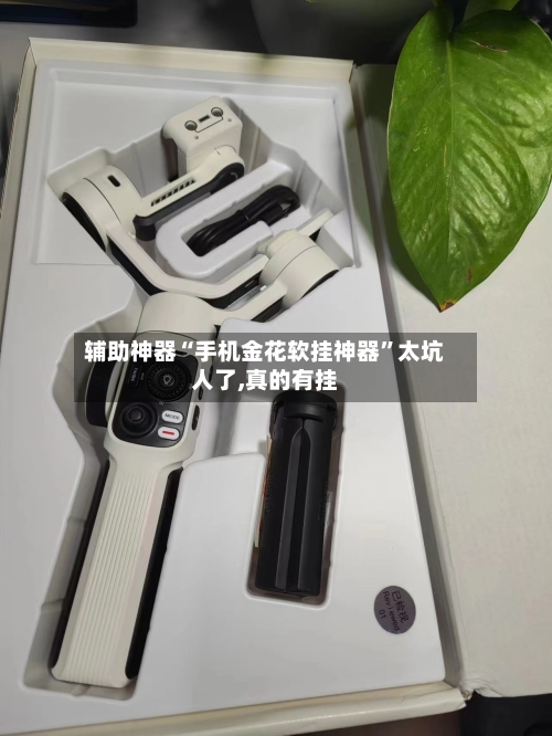 辅助神器“手机金花软挂神器”太坑人了,真的有挂-第3张图片