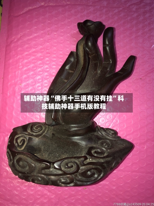 辅助神器“佛手十三道有没有挂	”科技辅助神器手机版教程-第3张图片