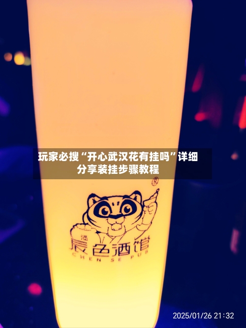 玩家必搜“开心武汉花有挂吗”详细分享装挂步骤教程