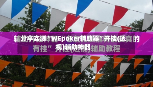 分享实测“WEpoker辅助器	”开挂(透视)辅助神器-第2张图片