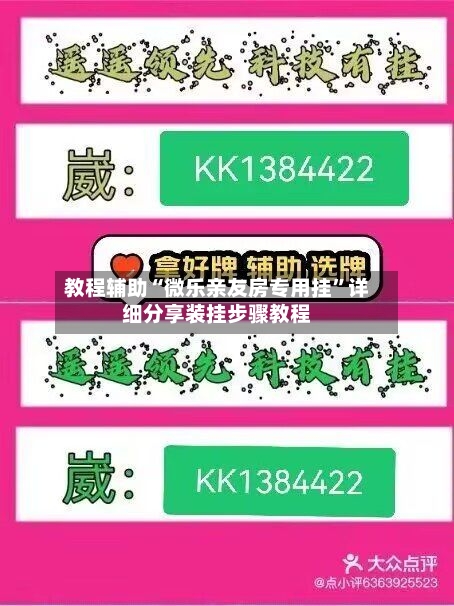 教程辅助“微乐亲友房专用挂	”详细分享装挂步骤教程-第2张图片