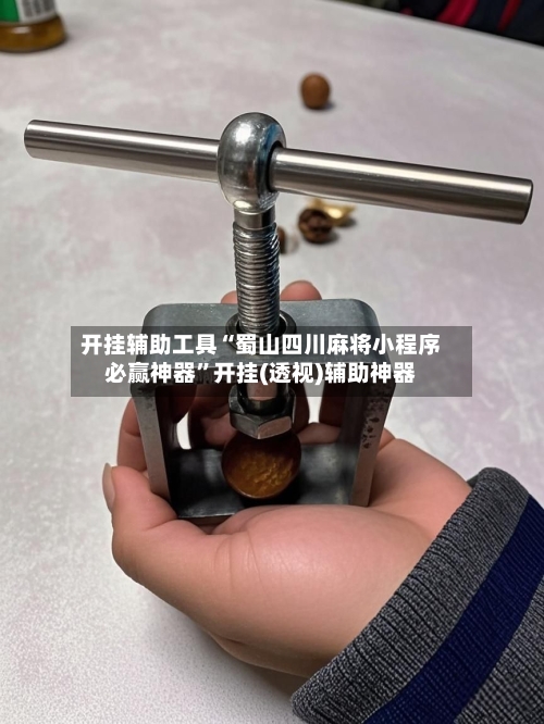 开挂辅助工具“蜀山四川麻将小程序必赢神器”开挂(透视)辅助神器-第3张图片