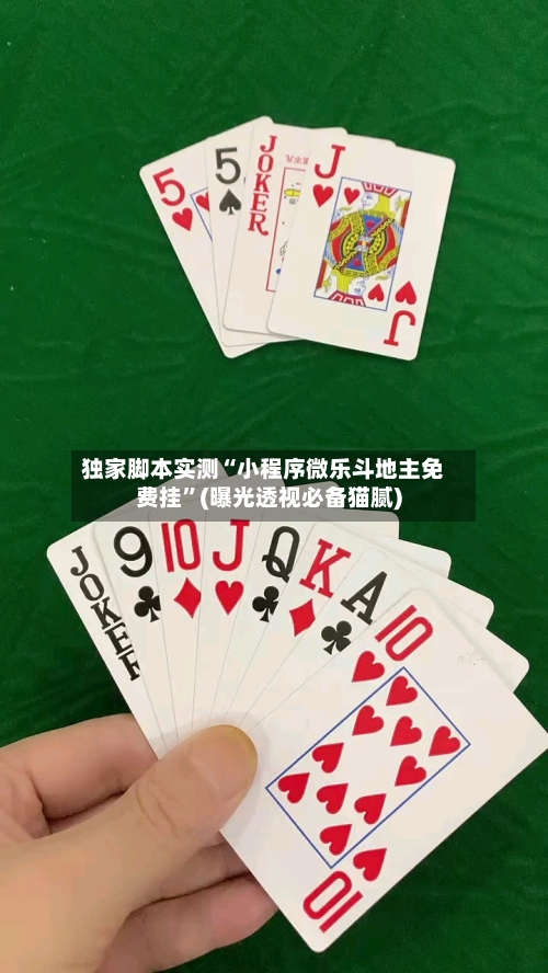 独家脚本实测“小程序微乐斗地主免费挂”(曝光透视必备猫腻)-第2张图片