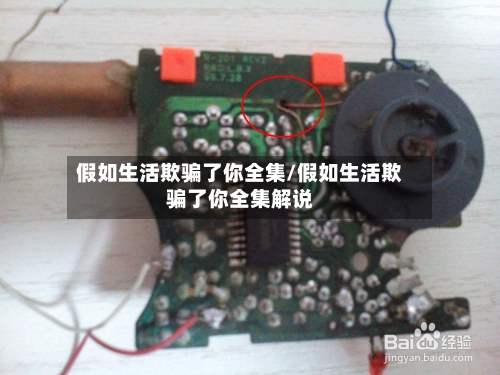 假如生活欺骗了你全集/假如生活欺骗了你全集解说-第3张图片
