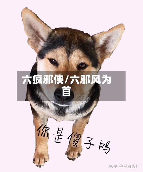 六疯邪侠/六邪风为首
