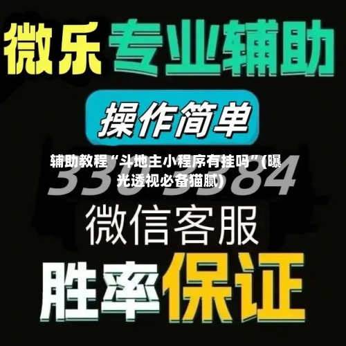 辅助教程“斗地主小程序有挂吗”(曝光透视必备猫腻)