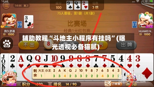 辅助教程“斗地主小程序有挂吗	”(曝光透视必备猫腻)-第2张图片