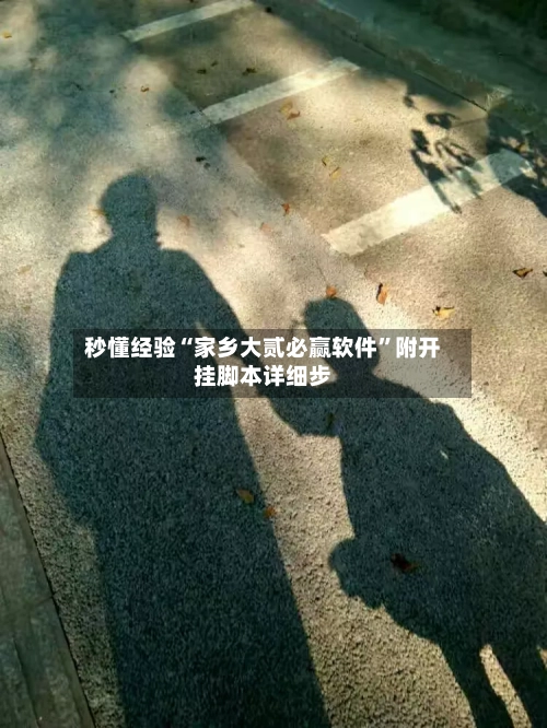 秒懂经验“家乡大贰必赢软件”附开挂脚本详细步-第2张图片