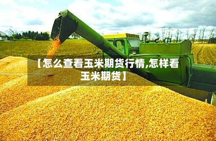 【怎么查看玉米期货行情,怎样看玉米期货】