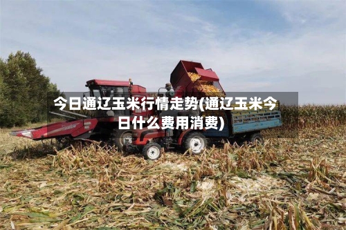 今日通辽玉米行情走势(通辽玉米今日什么费用消费)-第3张图片