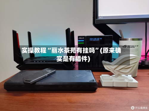 实操教程“丽水茶苑有挂吗”(原来确实是有插件)