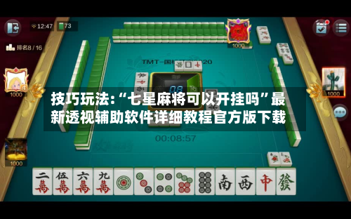 技巧玩法:“七星麻将可以开挂吗”最新透视辅助软件详细教程官方版下载-第2张图片