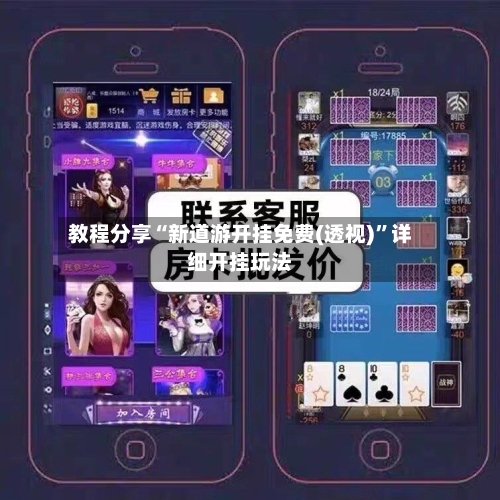 教程分享“新道游开挂免费(透视)”详细开挂玩法-第2张图片