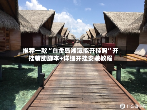 推荐一款“白金岛湘潭能开挂吗”开挂辅助脚本+详细开挂安装教程-第2张图片